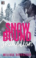 Snowbound Seduction