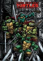 Teenage Mutant Ninja Turtles: The Ultimate Collection, Vol. 5