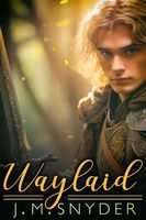 Cover of Waylaid by J.M. Snyder