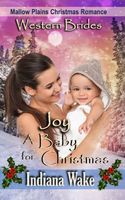 Joy - A Baby for Christmas