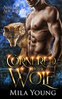 Cornered By The Wolf