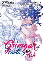 Grimgar of Fantasy and Ash (Light Novel) Vol. 11