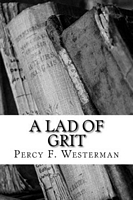 Paperback edition cover