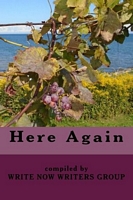 Cover of Here Again by Write Now