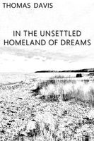 Cover of In the Unsettled Homeland of Dreams by Thomas Davis