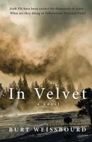 Cover of In Velvet by Burt Weissbourd