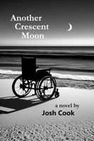 Josh Cook's Latest Book