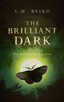 The Brilliant Dark