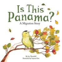 Is This Panama?
