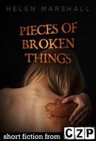 Pieces of Broken Things