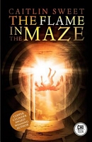 eBook edition cover