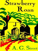 eBook edition cover
