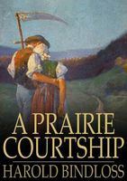 A Prairie Courtship: Or, Alison's Adventure