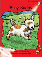 Busy Buddy