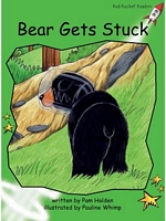 Bear Gets Stuck