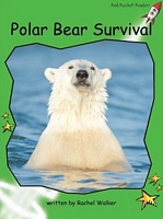 Polar Bear Survival