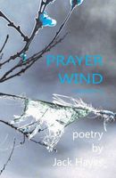 Paperback edition cover