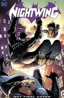 Nightwing Vol. 1: The Gray Son Legacy