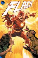The Flash Vol. 13
