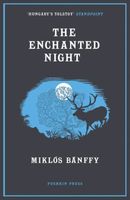 Enchanted Night