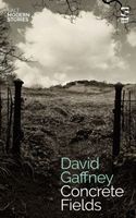David Gaffney's Latest Book