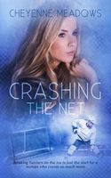 Crashing The Net