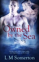 eBook edition cover