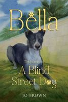 Jo Brown's Latest Book