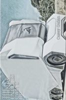 Cover of The Things Engines Can't Do by Casey Quinn