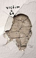 Christopher Lesko's Latest Book