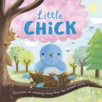 Nature Stories: Little Chick: Padded Board Book