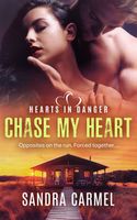 Sandra Carmel's Latest Book
