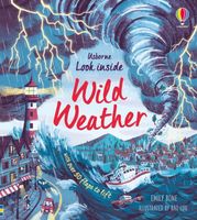 Cover of Look Inside Wild Weather by Emily Bone