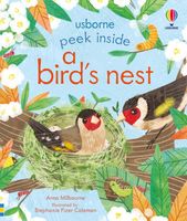 Peek Inside a Bird's Nest