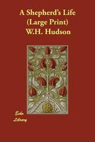 Large Print edition cover