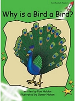 Why Is a Bird a Bird?