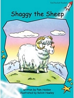 Shaggy the Sheep