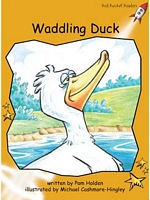 Waddling Duck