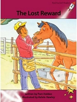 The Lost Reward