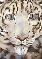 The Snow Leopard Poster