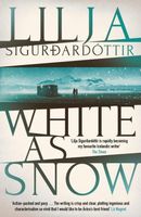 Lilja Sigurdardottir's Latest Book