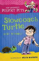 Slowcoach Turtle