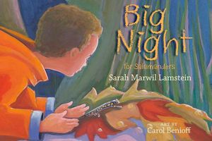 Sarah Marwil Lamstein's Latest Book