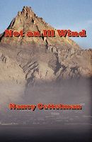 Cover of Not an Ill Wind by Nancy Gettelman