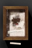 Cover of Biogenesis and Other Stories by Tatsuaki Ishiguro