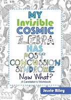 My Invisible Cosmic Zebra Has Post Concussion Syndrome - Now What?