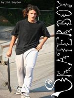 Cover of Skaterboy by J.M. Snyder