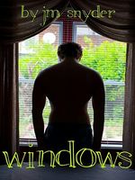 Cover of Windows by J.M. Snyder