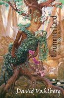 Cover of Summerland: Robin Hood Returns by David Vahlberg