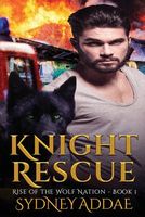 Knight Rescue